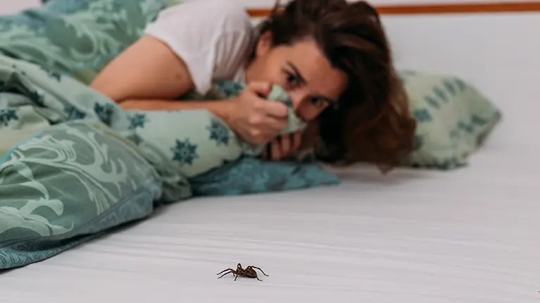 Mulher deitada e assustada com uma aranha sobre o colchão.
