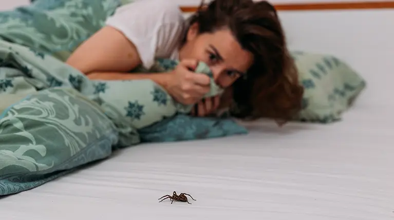 Mulher deitada e assustada com uma aranha sobre o colchão. Mulher deitada e assustada com uma aranha sobre o colchão.