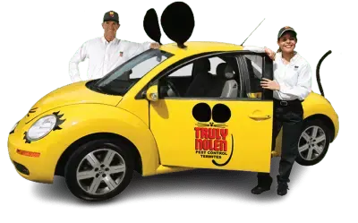 Truly Nolen, Pest Control, Truly Nolen Car