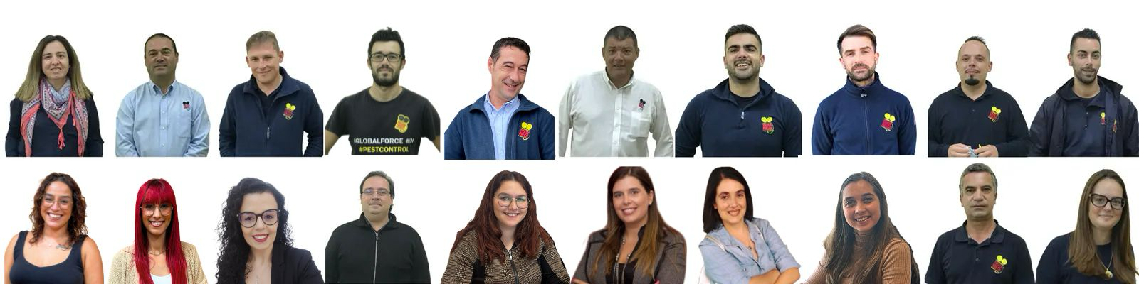 Controlo de pragas, desinfestação