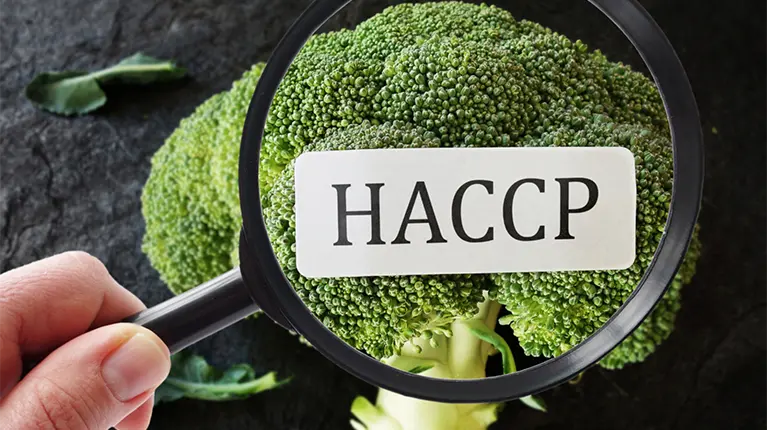 HACCP