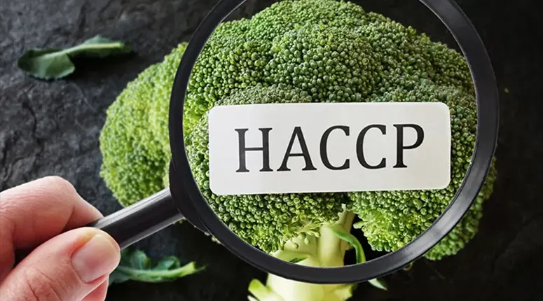 haccp