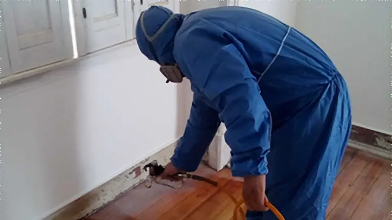 Termite disinfestation treatment on residential wood.